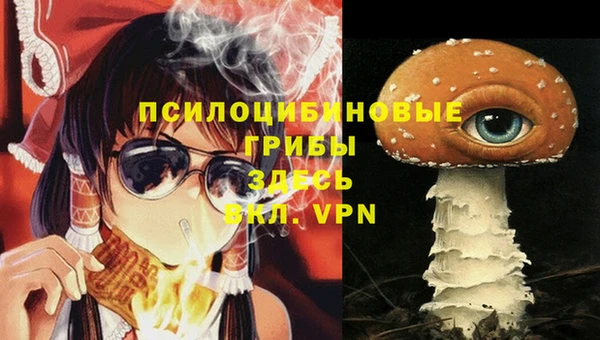 а пвп мука Медногорск