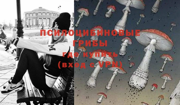 a pvp Мегион
