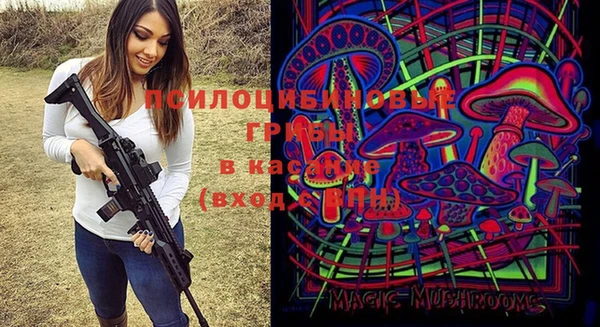 бутират Медвежьегорск