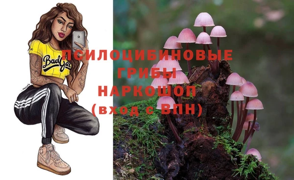 бутират Медвежьегорск