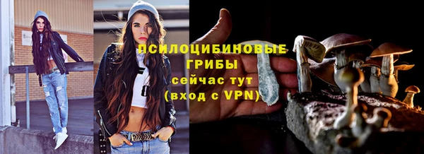 a pvp Мегион